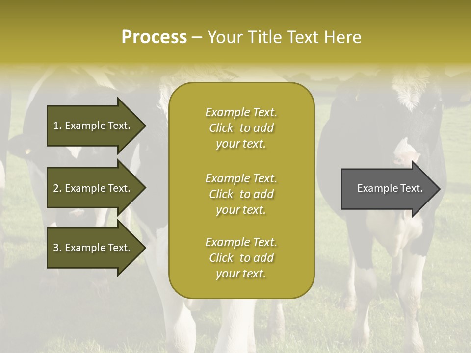 Herd Landscape Waltshire PowerPoint Template