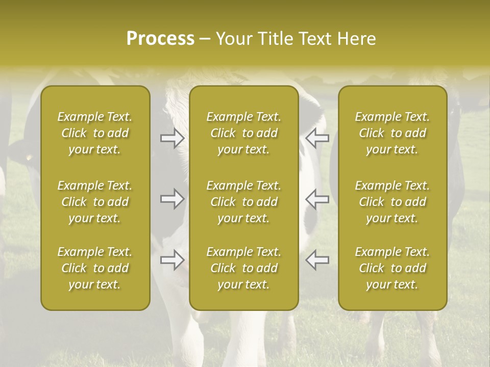 Herd Landscape Waltshire PowerPoint Template