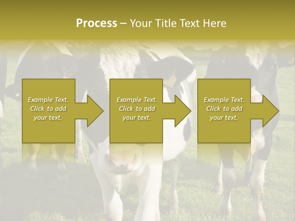 Herd Landscape Waltshire PowerPoint Template