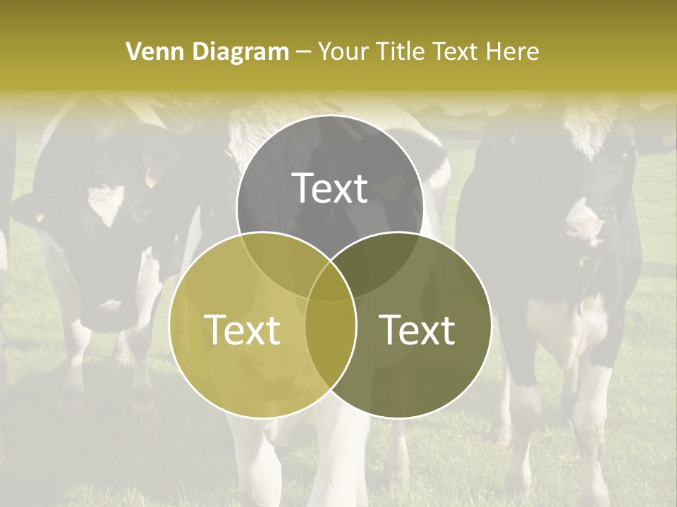 Herd Landscape Waltshire PowerPoint Template