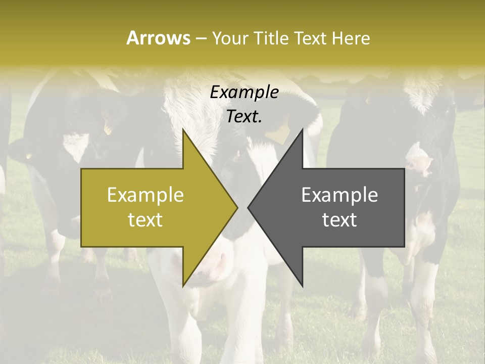 Herd Landscape Waltshire PowerPoint Template