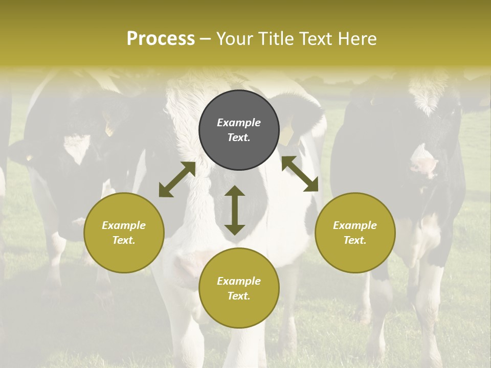 Herd Landscape Waltshire PowerPoint Template