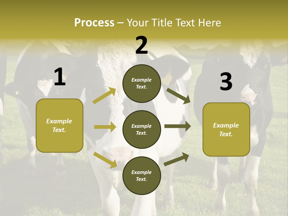 Herd Landscape Waltshire PowerPoint Template