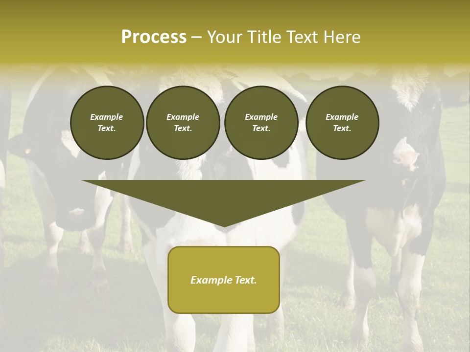 Herd Landscape Waltshire PowerPoint Template