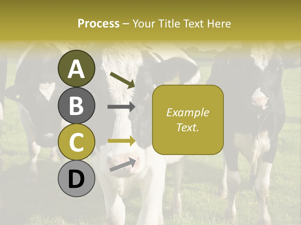 Herd Landscape Waltshire PowerPoint Template