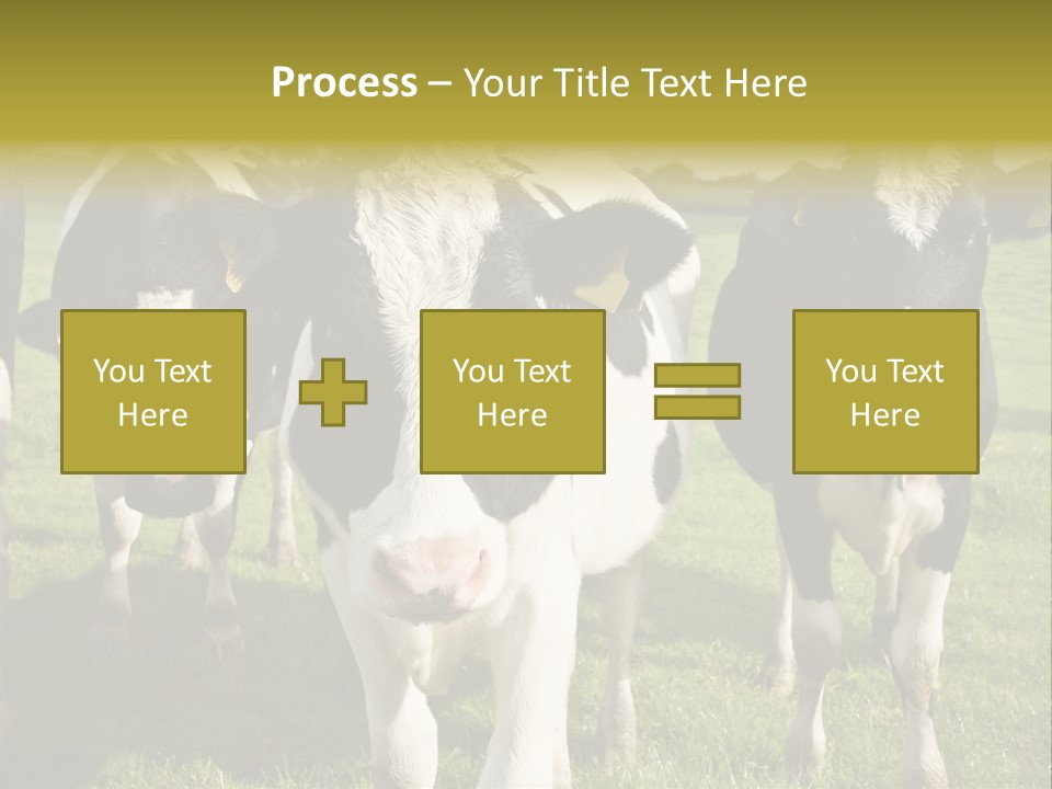 Herd Landscape Waltshire PowerPoint Template