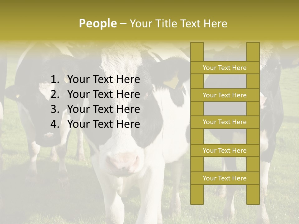 Herd Landscape Waltshire PowerPoint Template