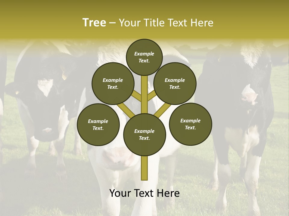 Herd Landscape Waltshire PowerPoint Template