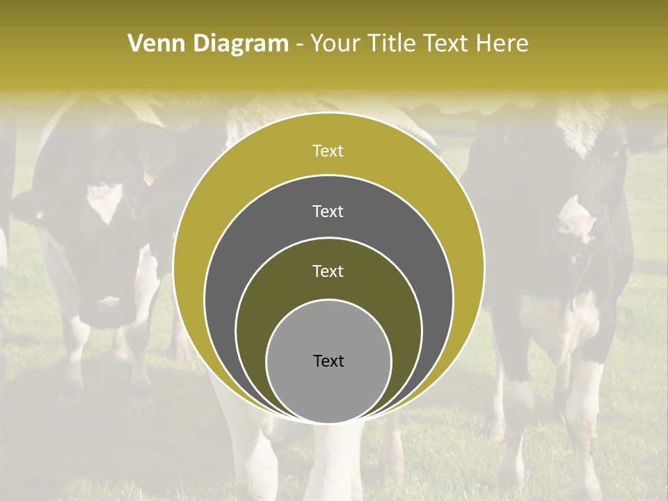 Herd Landscape Waltshire PowerPoint Template