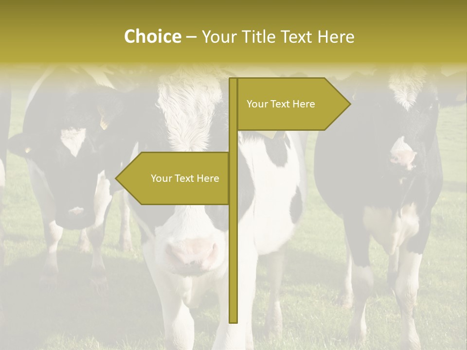 Herd Landscape Waltshire PowerPoint Template