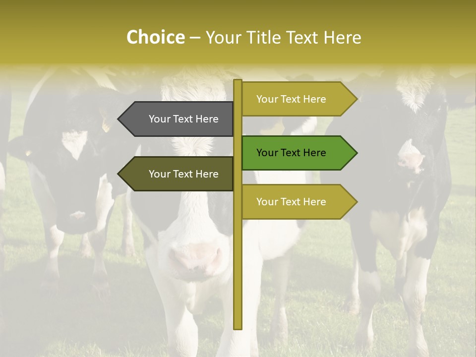 Herd Landscape Waltshire PowerPoint Template