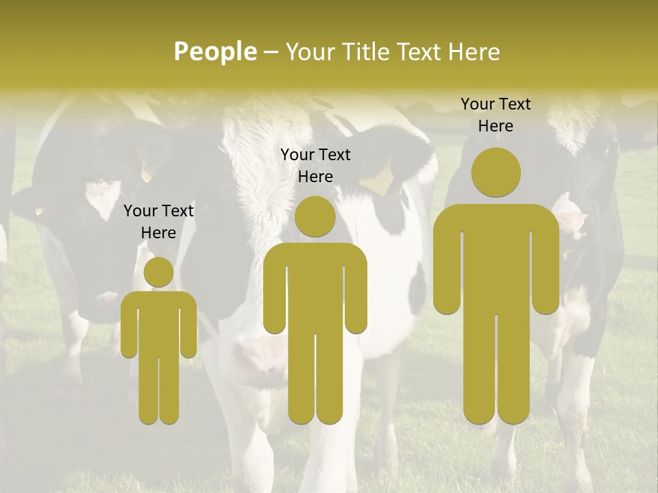 Herd Landscape Waltshire PowerPoint Template