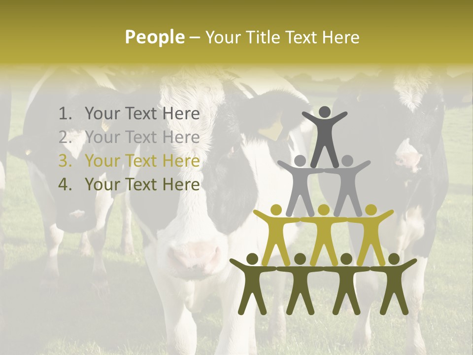 Herd Landscape Waltshire PowerPoint Template