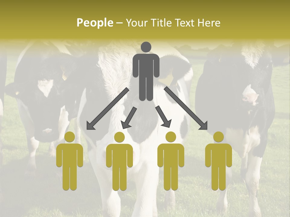 Herd Landscape Waltshire PowerPoint Template