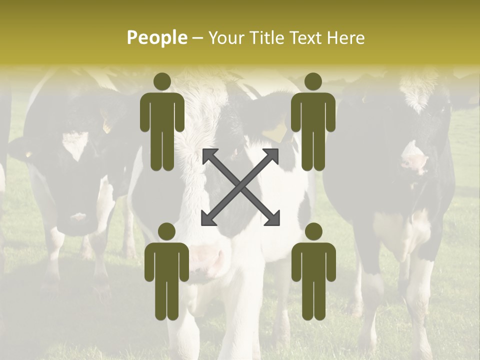 Herd Landscape Waltshire PowerPoint Template