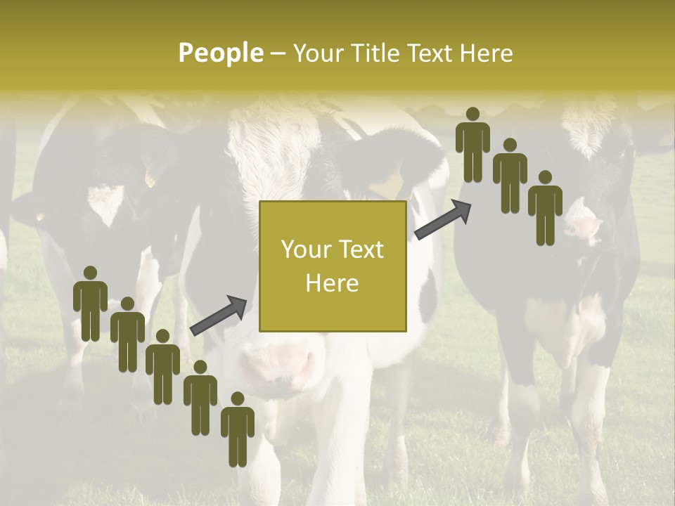 Herd Landscape Waltshire PowerPoint Template