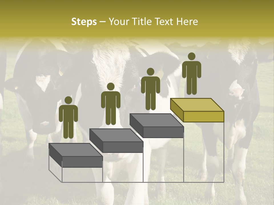 Herd Landscape Waltshire PowerPoint Template