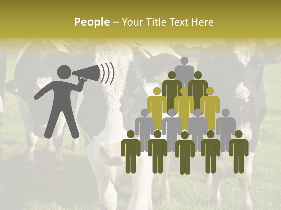 Herd Landscape Waltshire PowerPoint Template