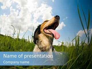Lying View Field PowerPoint Template
