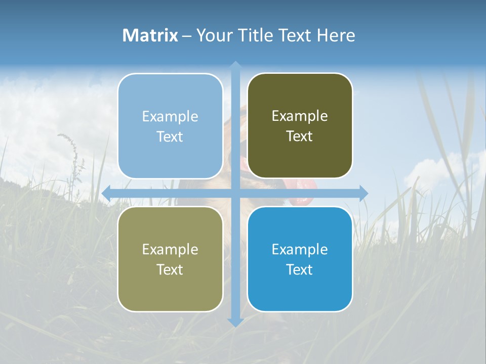 Lying View Field PowerPoint Template