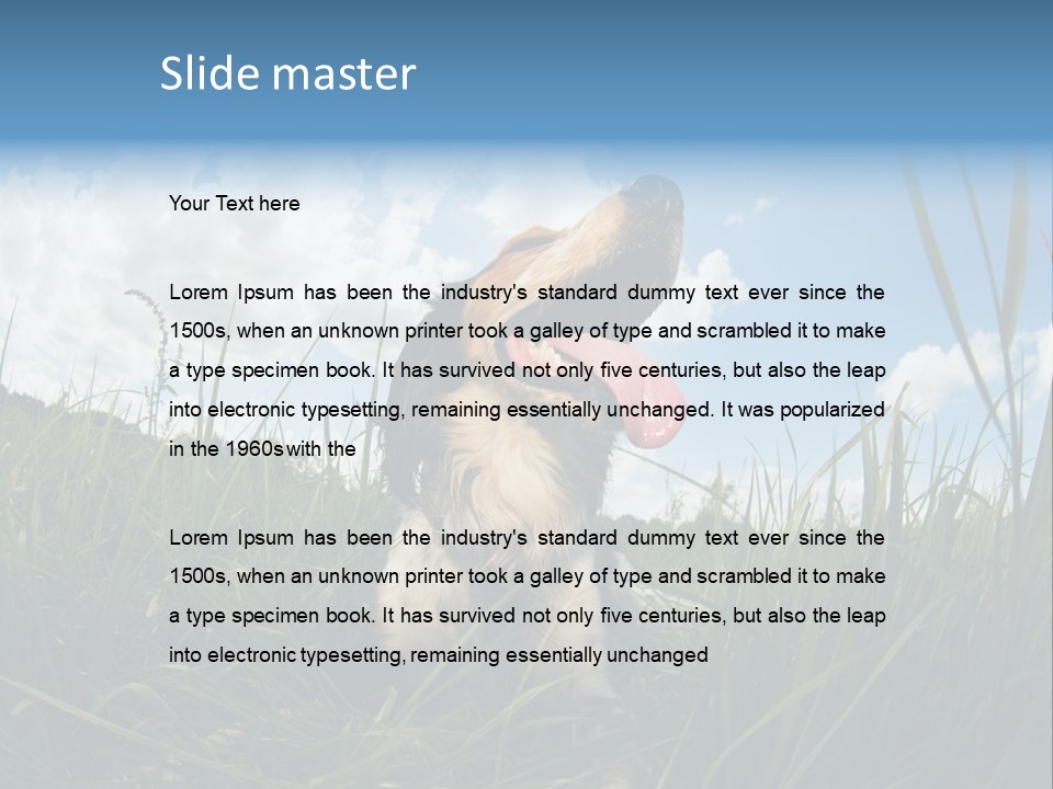 Lying View Field PowerPoint Template