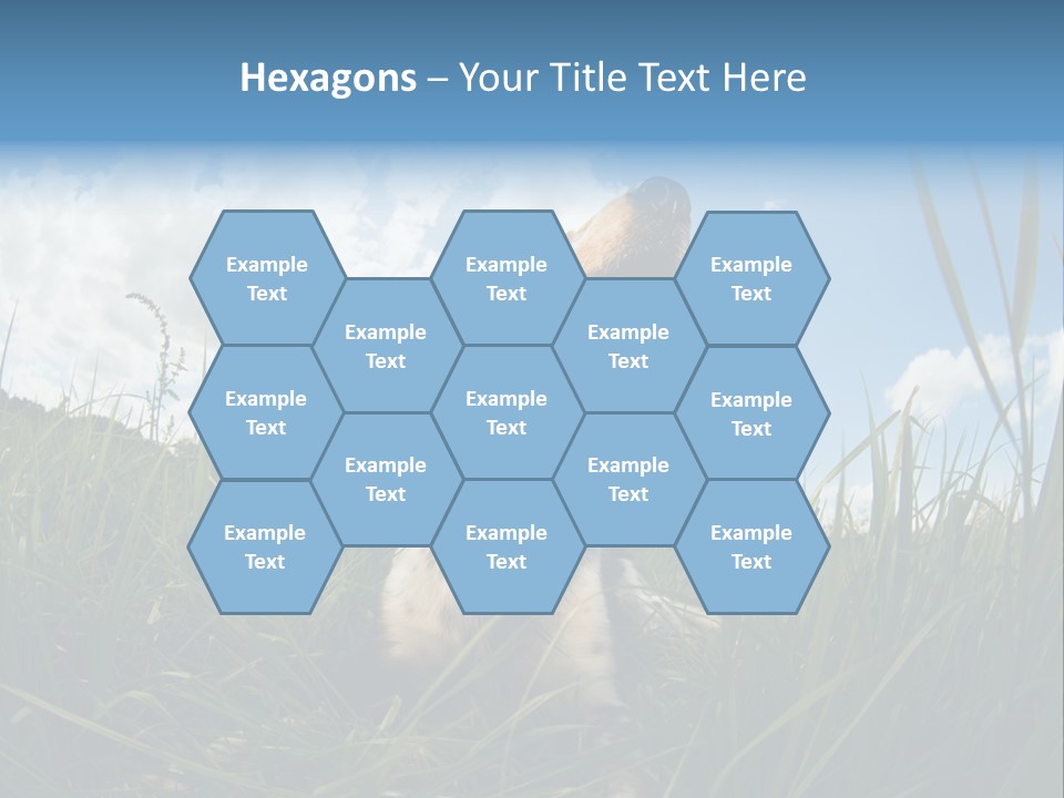 Lying View Field PowerPoint Template