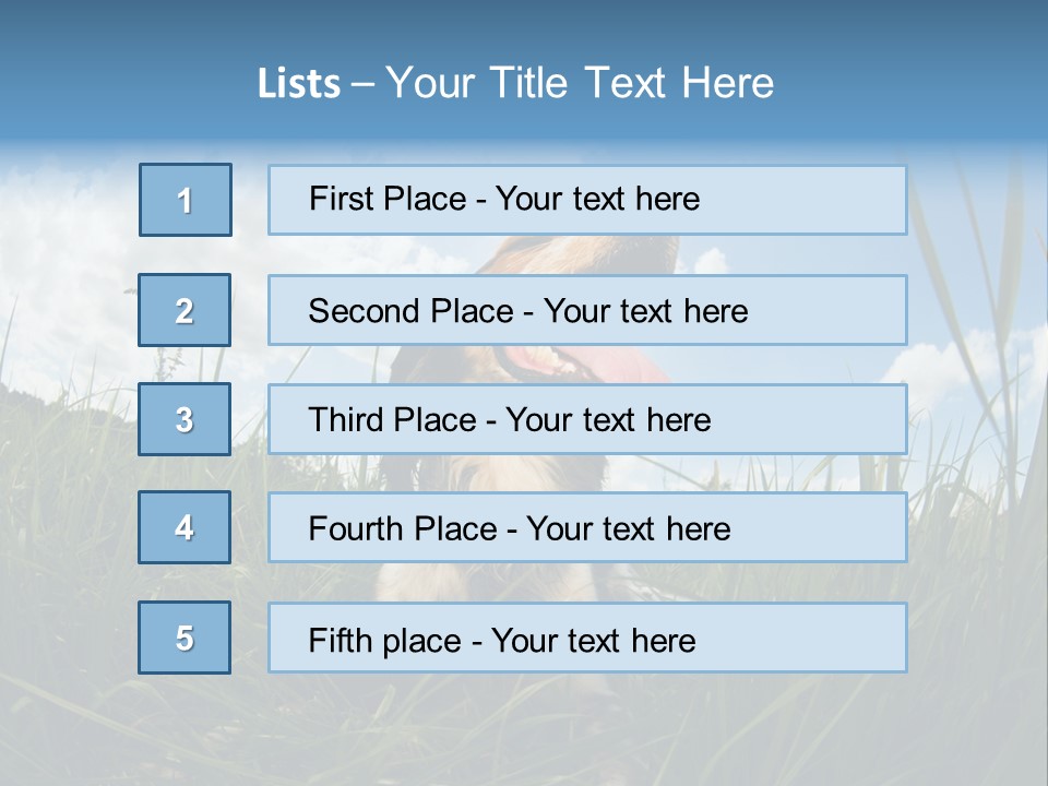 Lying View Field PowerPoint Template