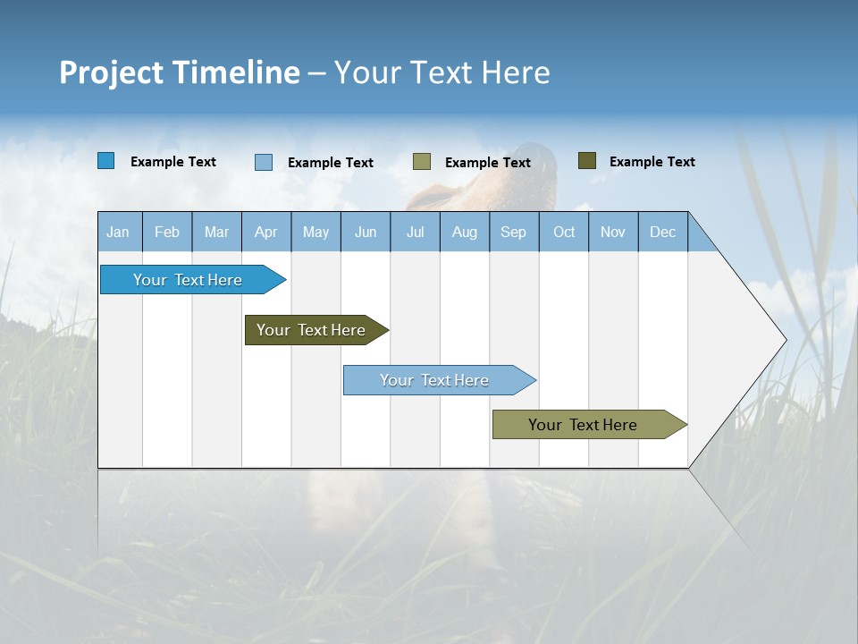 Lying View Field PowerPoint Template