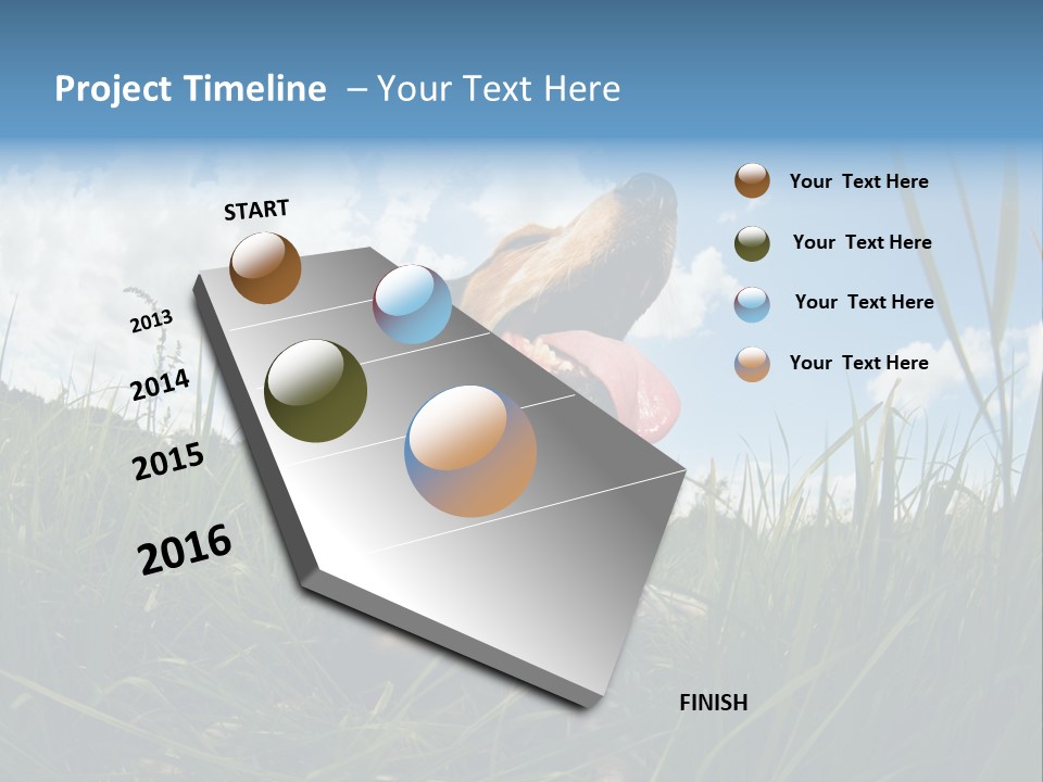 Lying View Field PowerPoint Template