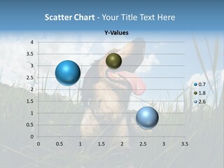 Lying View Field PowerPoint Template