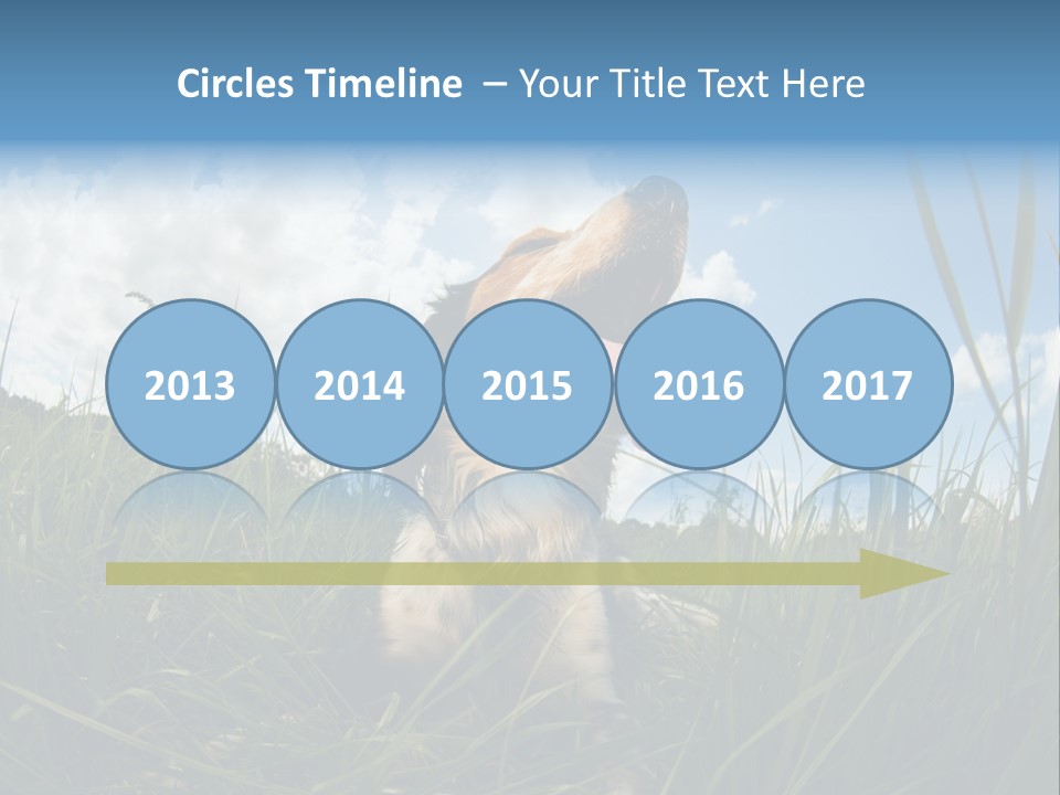 Lying View Field PowerPoint Template
