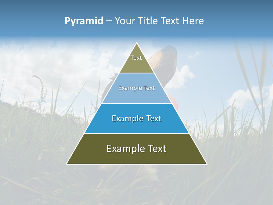 Lying View Field PowerPoint Template