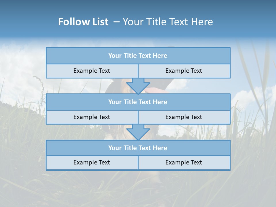 Lying View Field PowerPoint Template