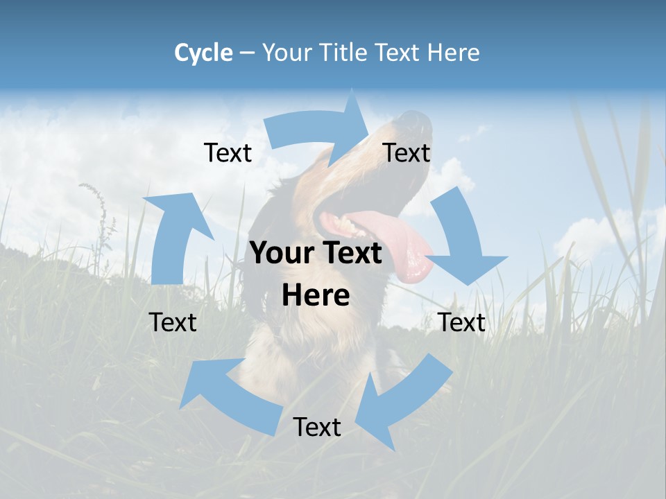 Lying View Field PowerPoint Template