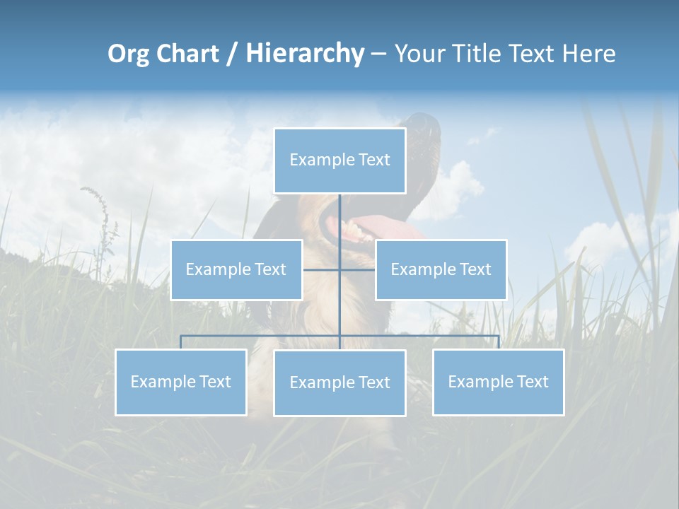 Lying View Field PowerPoint Template