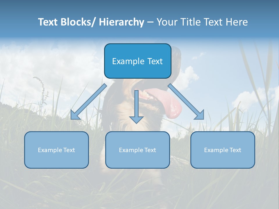 Lying View Field PowerPoint Template