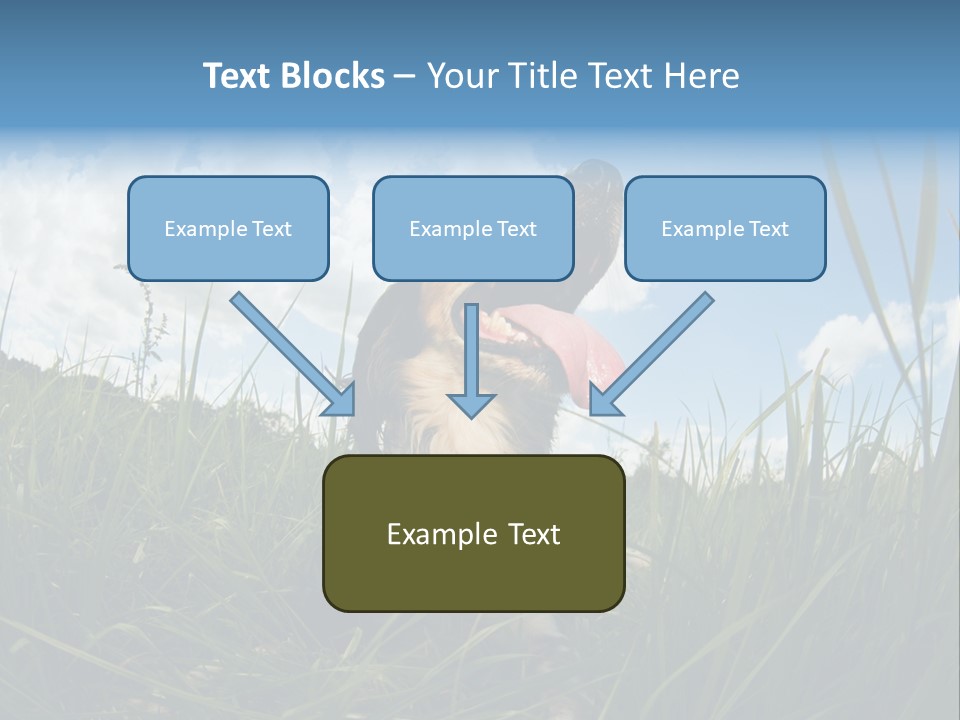 Lying View Field PowerPoint Template