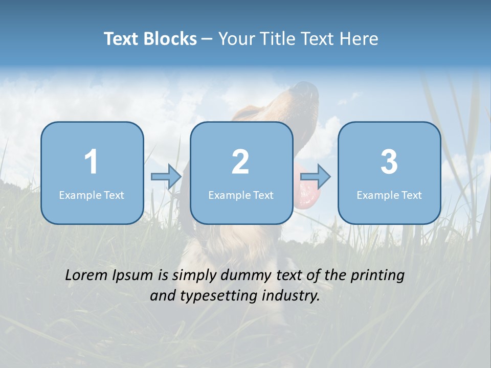 Lying View Field PowerPoint Template