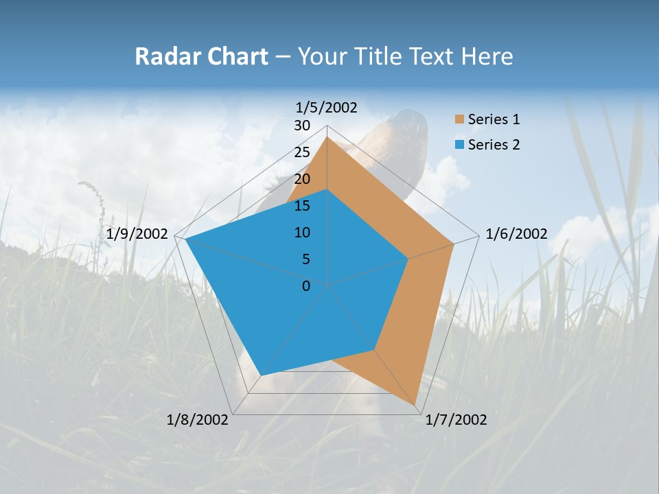 Lying View Field PowerPoint Template