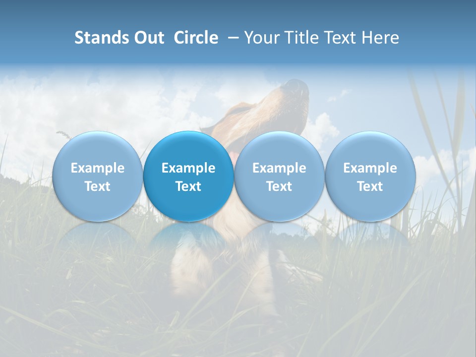 Lying View Field PowerPoint Template