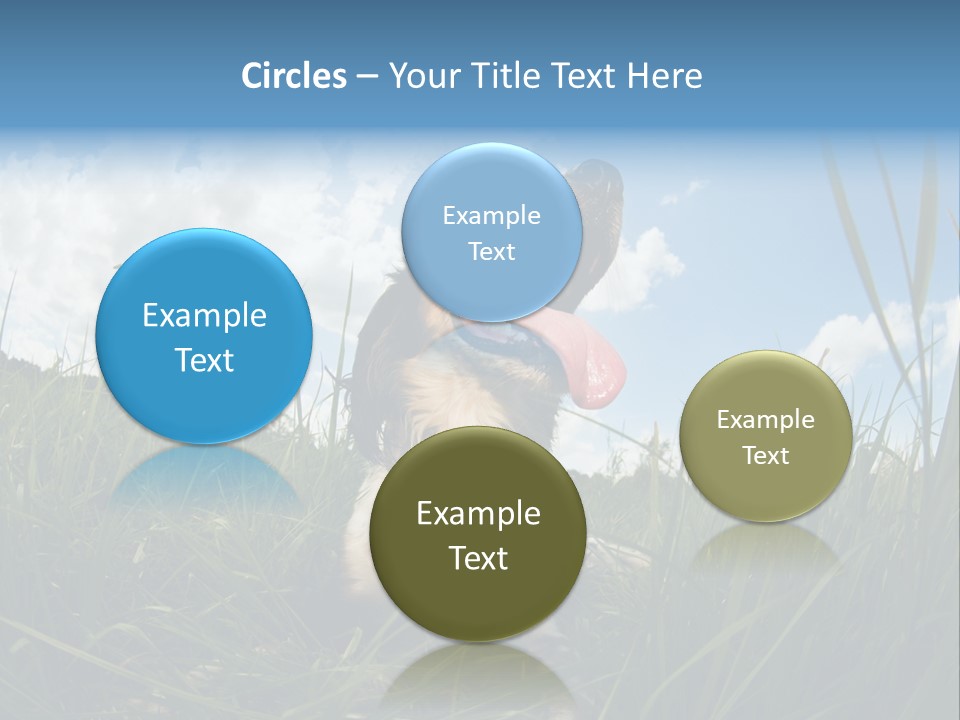 Lying View Field PowerPoint Template