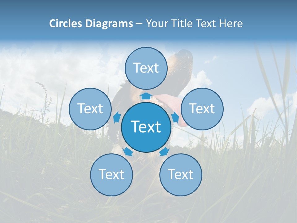 Lying View Field PowerPoint Template