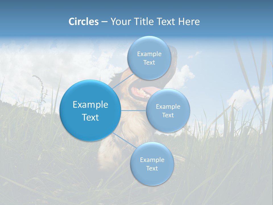Lying View Field PowerPoint Template