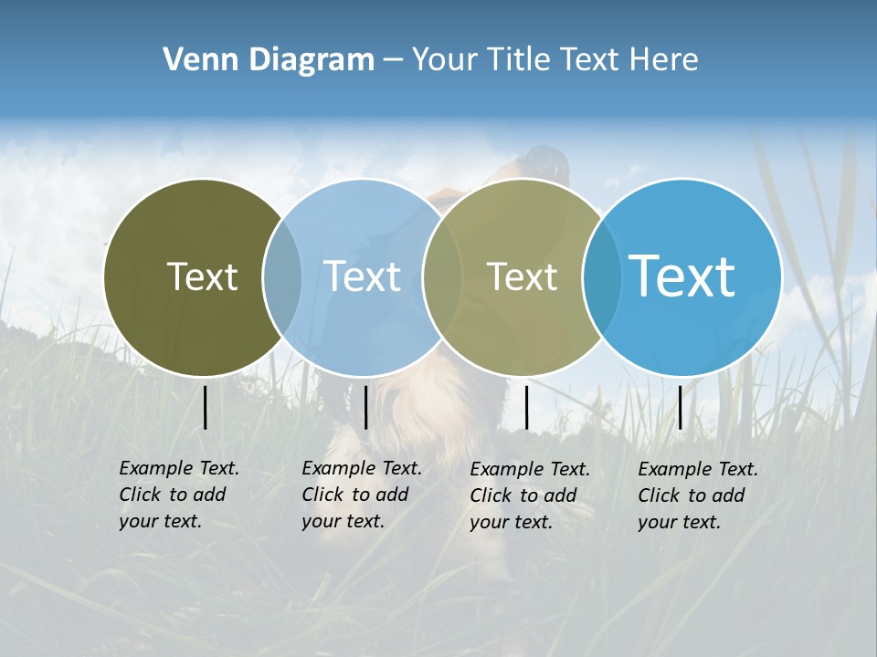 Lying View Field PowerPoint Template