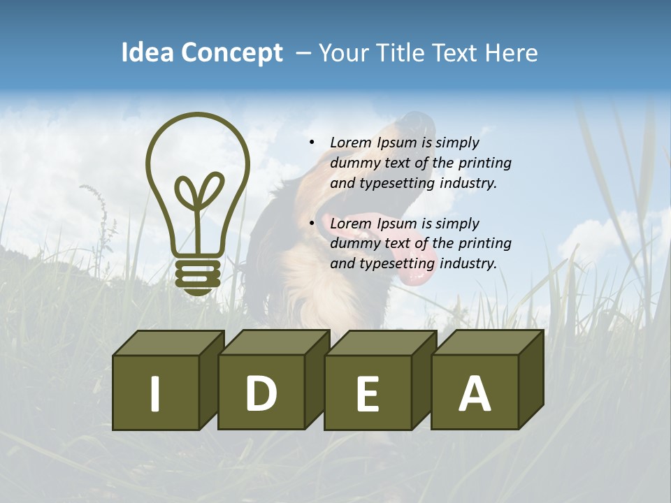 Lying View Field PowerPoint Template