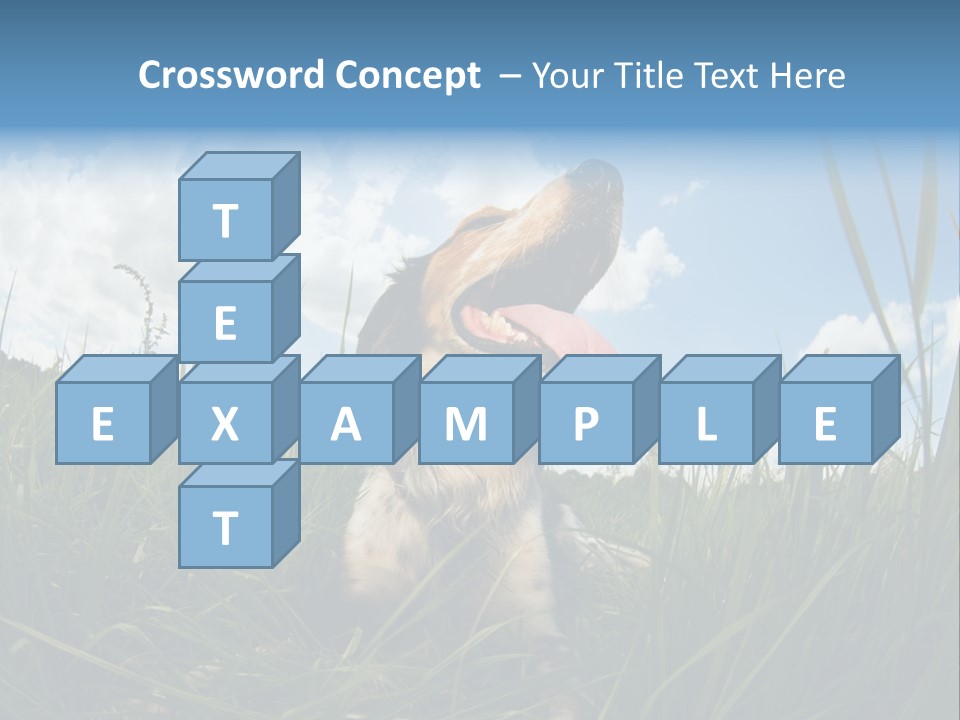 Lying View Field PowerPoint Template