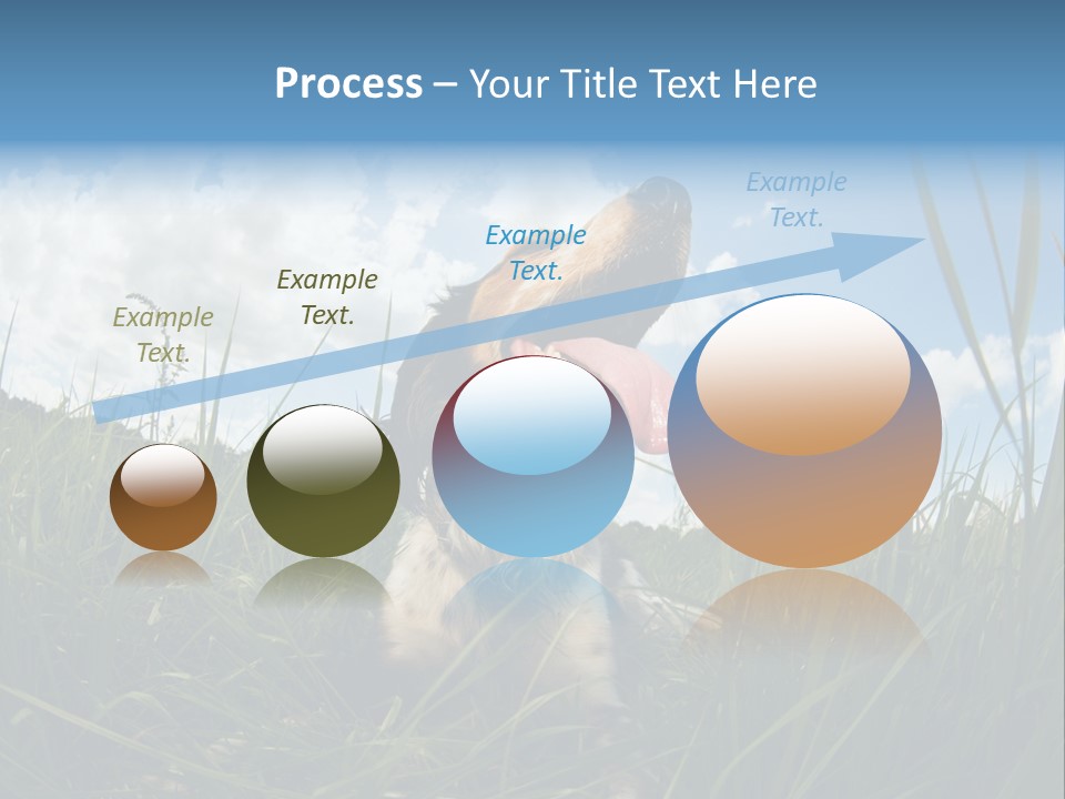 Lying View Field PowerPoint Template