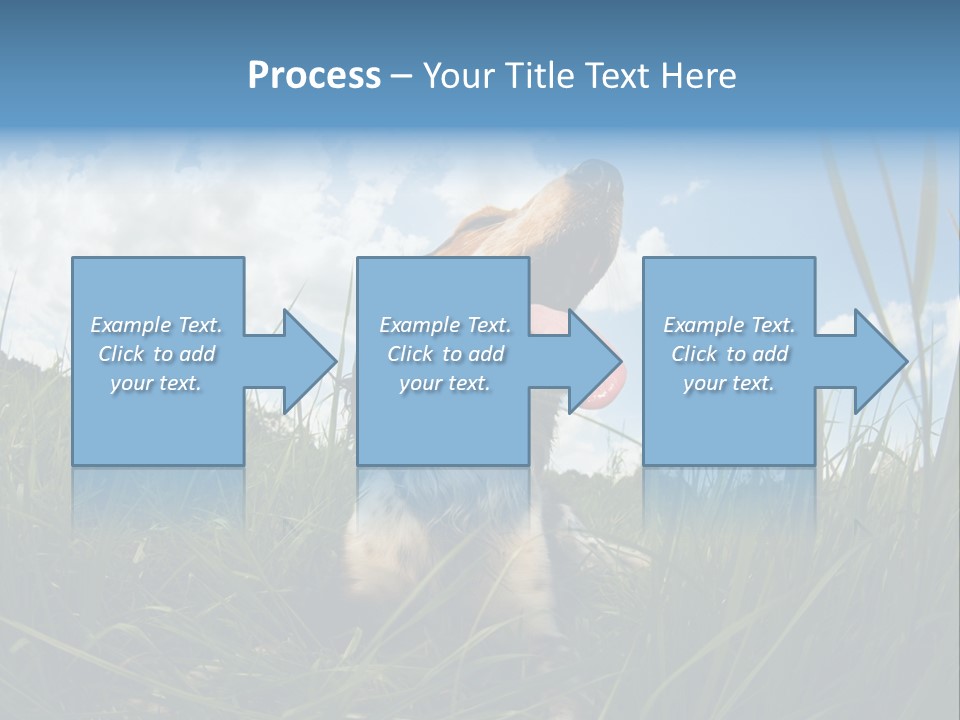 Lying View Field PowerPoint Template