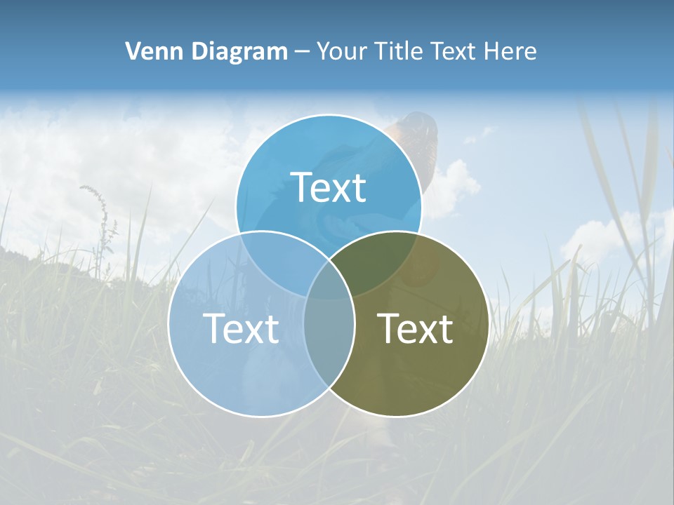 Lying View Field PowerPoint Template