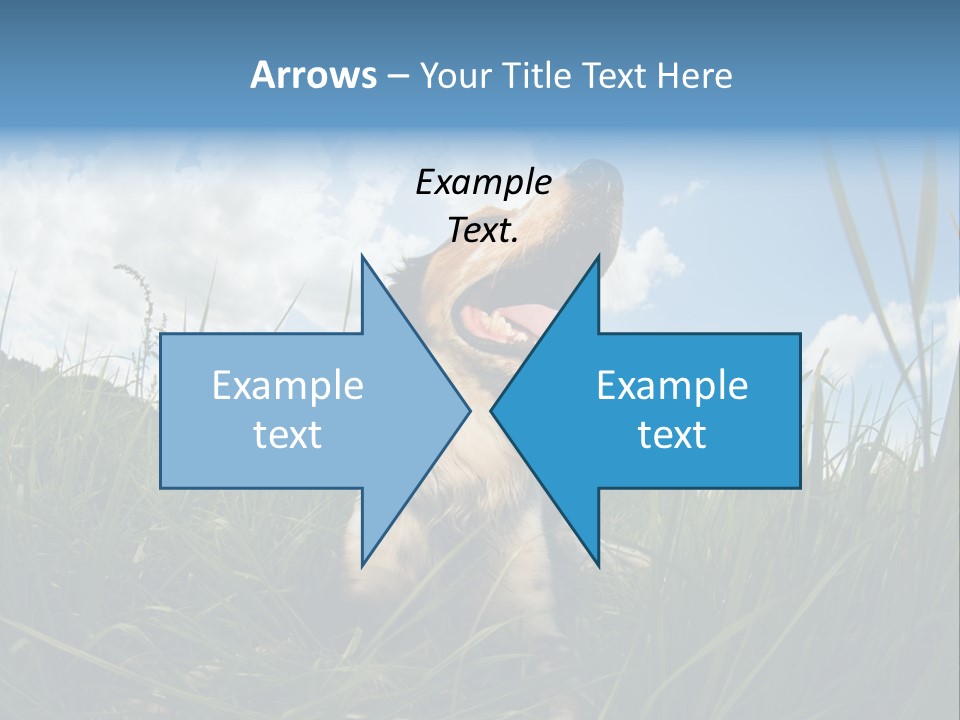 Lying View Field PowerPoint Template